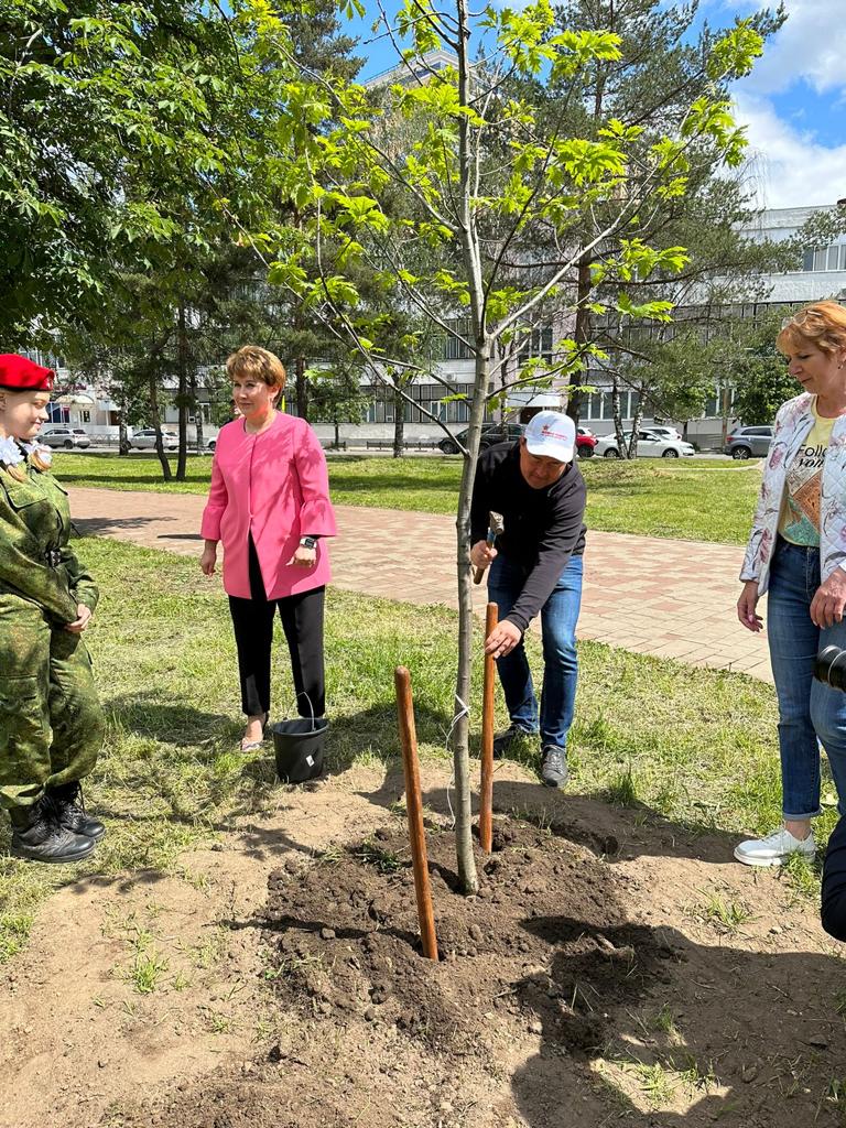 В Ярославле высадили дубовую аллею в рамках патриотического проекта «Живая память поколений»