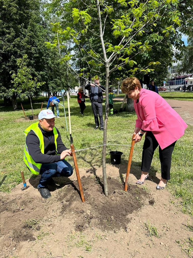 В Ярославле высадили дубовую аллею в рамках патриотического проекта «Живая память поколений»